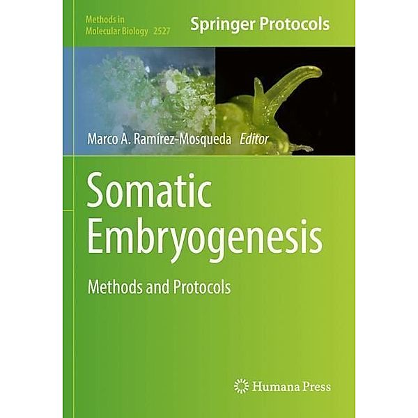 Somatic Embryogenesis