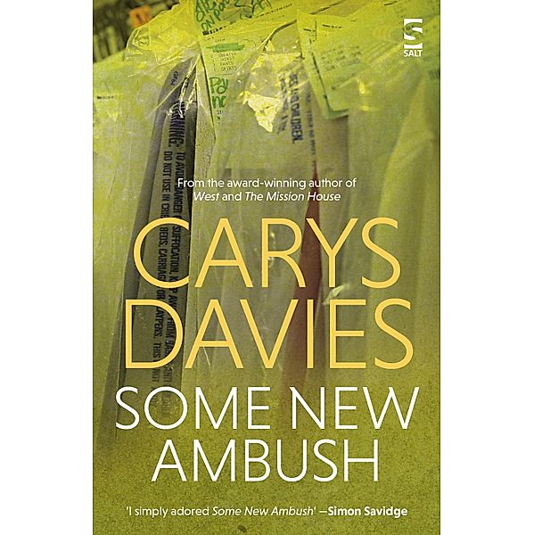 Some New Ambush, Carys Davies