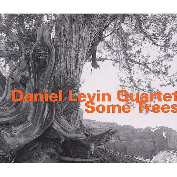 Some Trees, Daniel Levin Quartet