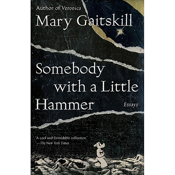 Somebody with a Little Hammer, Mary Gaitskill