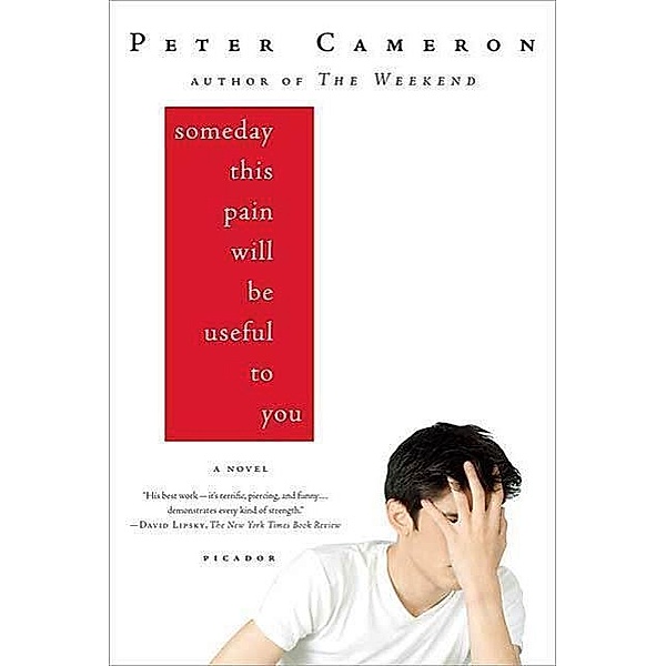 Someday This Pain Will Be Useful to You, Peter Cameron
