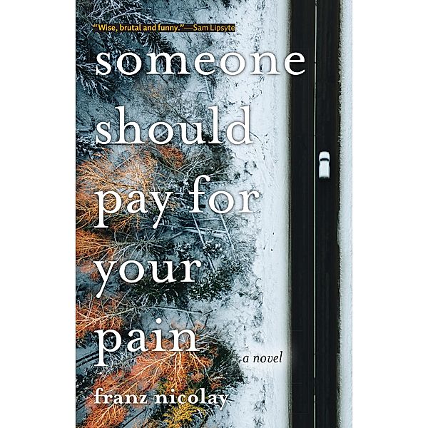 Someone Should Pay for Your Pain, Franz Nicolay