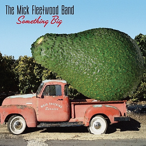 Something Big, The Mick Fleetwood Band
