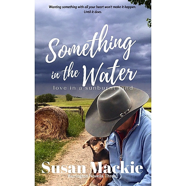 Something in the Water (Barrington Series, #6) / Barrington Series, Susan Mackie