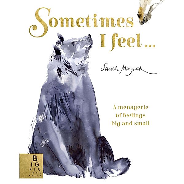 Sometimes I Feel..., Sarah Maycock