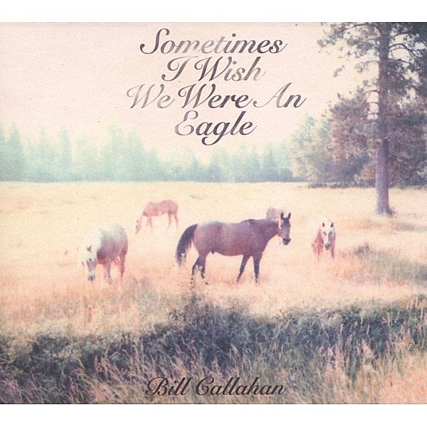 Sometimes I Wish We Were An Eagle, Bill Callahan