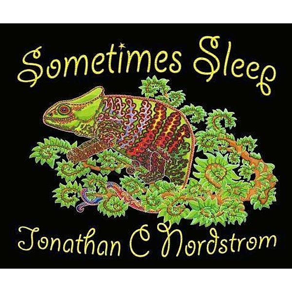 Sometimes Sleep, Jonathan C Nordstrom