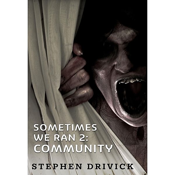 Sometimes We Ran 2: Community / Sometimes We Ran, Stephen Drivick