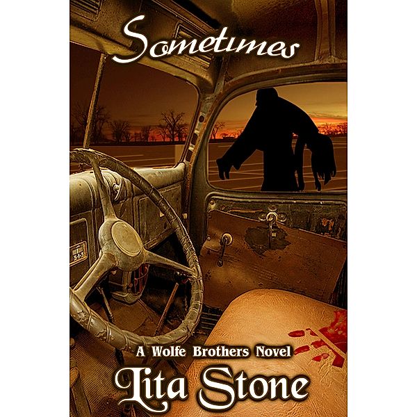 Sometimes (Wolfe Brothers, #3) / Wolfe Brothers, Lita Stone