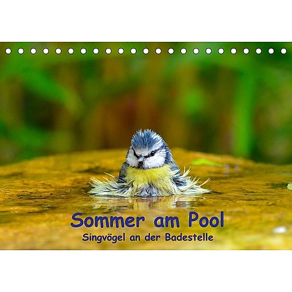 Sommer am Pool - Singvögel an der Badestelle (Tischkalender 2023 DIN A5 quer), Ulrich Plemper