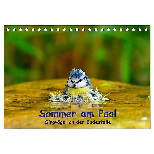 Sommer am Pool - Singvögel an der Badestelle (Tischkalender 2024 DIN A5 quer), CALVENDO Monatskalender, Ulrich Plemper