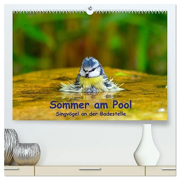 Sommer am Pool - Singvögel an der Badestelle (hochwertiger Premium Wandkalender 2024 DIN A2 quer), Kunstdruck in Hochglanz, Ulrich Plemper