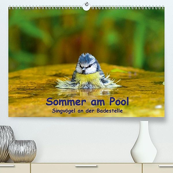 Sommer am Pool - Singvögel an der Badestelle (Premium-Kalender 2020 DIN A2 quer), Ulrich Plemper