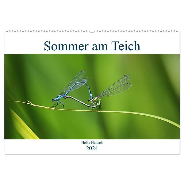 Sommer am Teich (Wandkalender 2024 DIN A2 quer), CALVENDO Monatskalender, Heike Hultsch