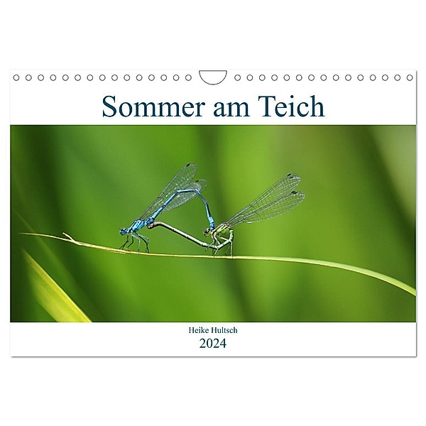 Sommer am Teich (Wandkalender 2024 DIN A4 quer), CALVENDO Monatskalender, Heike Hultsch