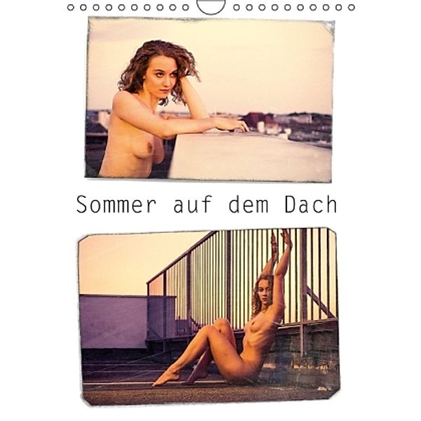 Sommer auf dem Dach (Wandkalender 2015 DIN A4 hoch), Markus W. Lambrecht