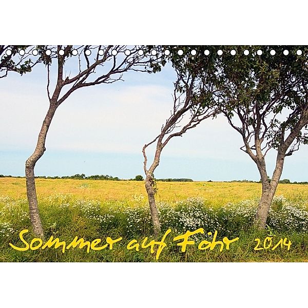 Sommer auf Föhr (Tischkalender 2014 DIN A5 quer), Jürgen Bergenthal