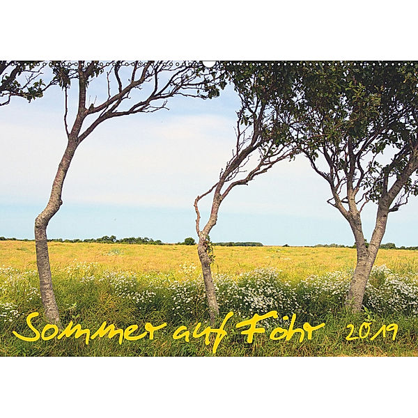 Sommer auf Föhr (Wandkalender 2019 DIN A2 quer), Jürgen Bergenthal