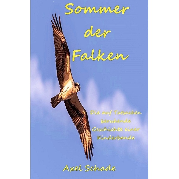 Sommer der Falken, Axel Schade