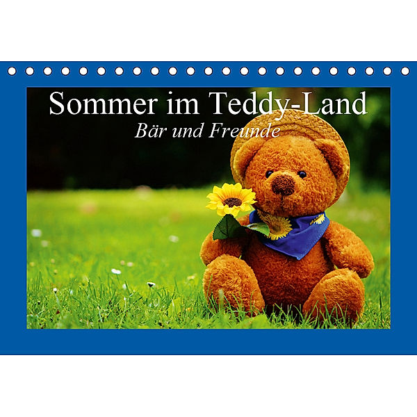 Sommer im Teddy-Land. Bär und Freunde (Tischkalender 2019 DIN A5 quer), Elisabeth Stanzer