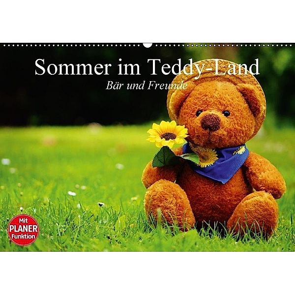 Sommer im Teddy-Land. Bär und Freunde (Wandkalender 2017 DIN A2 quer), Elisabeth Stanzer