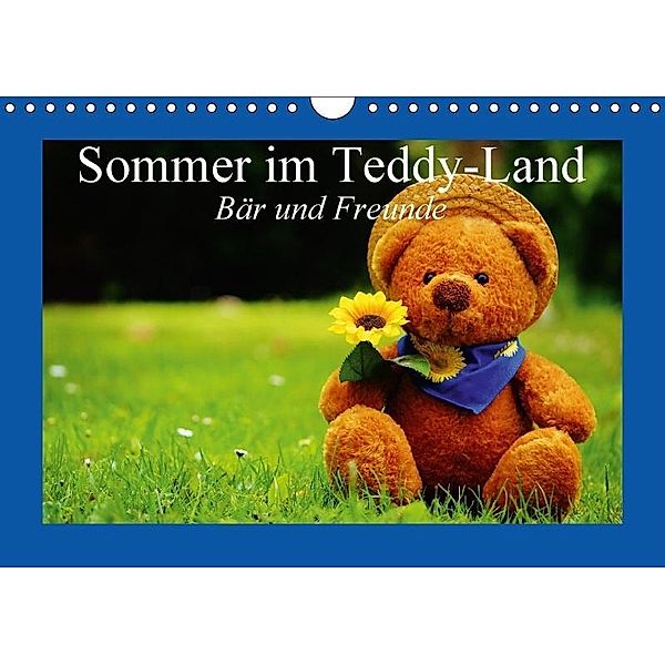 Sommer im Teddy-Land. Bär und Freunde (Wandkalender 2017 DIN A4 quer), Elisabeth Stanzer