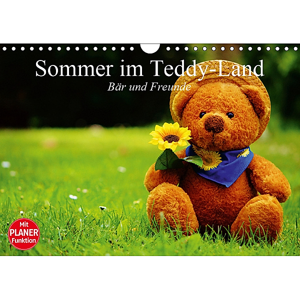 Sommer im Teddy-Land. Bär und Freunde (Wandkalender 2019 DIN A4 quer), Elisabeth Stanzer