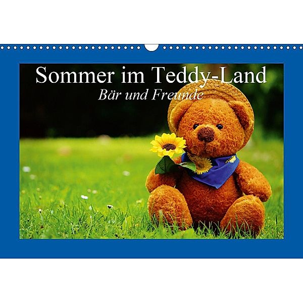 Sommer im Teddy-Land. Bär und Freunde (Wandkalender 2021 DIN A3 quer), Elisabeth Stanzer