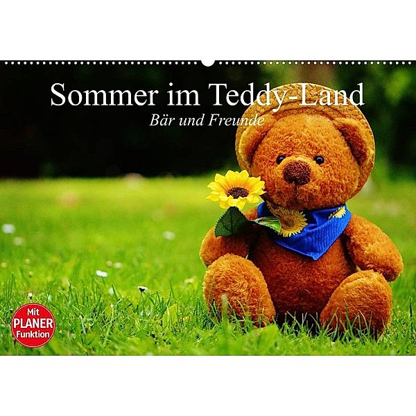 Sommer im Teddy-Land. Bär und Freunde (Wandkalender 2023 DIN A2 quer), Elisabeth Stanzer