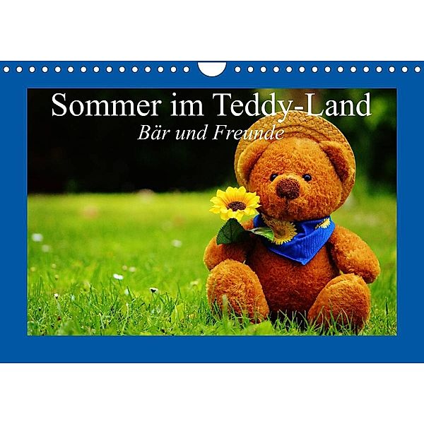 Sommer im Teddy-Land. Bär und Freunde (Wandkalender 2023 DIN A4 quer), Elisabeth Stanzer