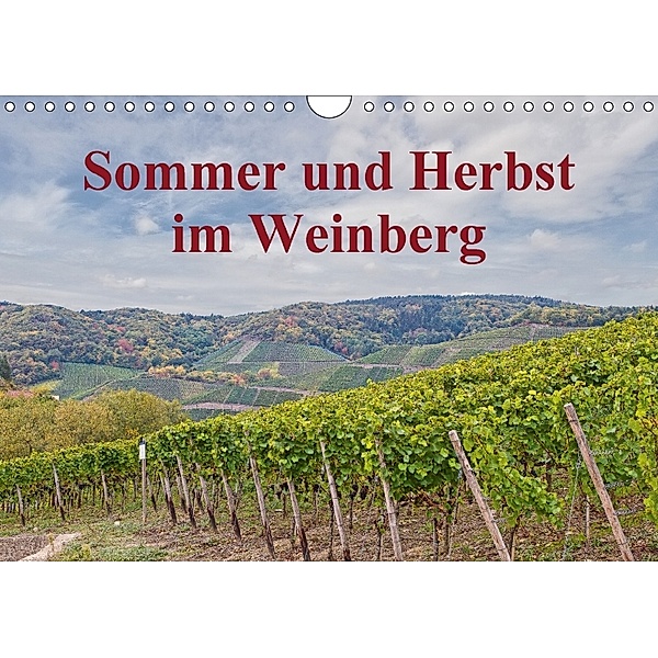 Sommer und Herbst im Weinberg (Wandkalender 2018 DIN A4 quer), Thomas Leonhardy