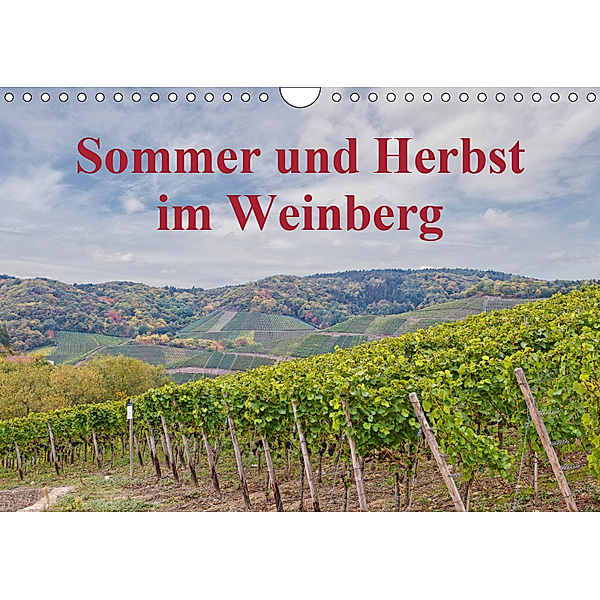 Sommer und Herbst im Weinberg (Wandkalender 2019 DIN A4 quer), Thomas Leonhardy