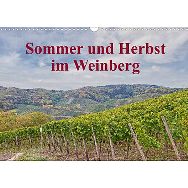 Sommer und Herbst im Weinberg (Wandkalender 2022 DIN A3 quer), Thomas Leonhardy