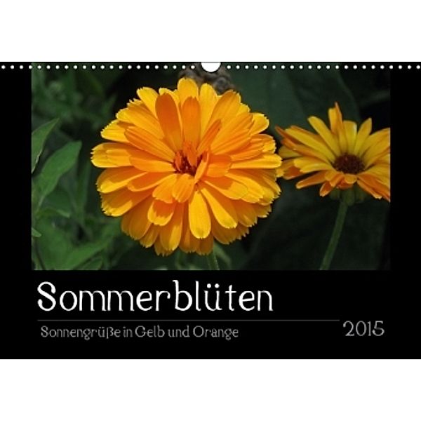 Sommerblüten Sonnengrüße in Gelb und Orange (Wandkalender 2015 DIN A3 quer), Linda Schilling und Michael Wlotzka