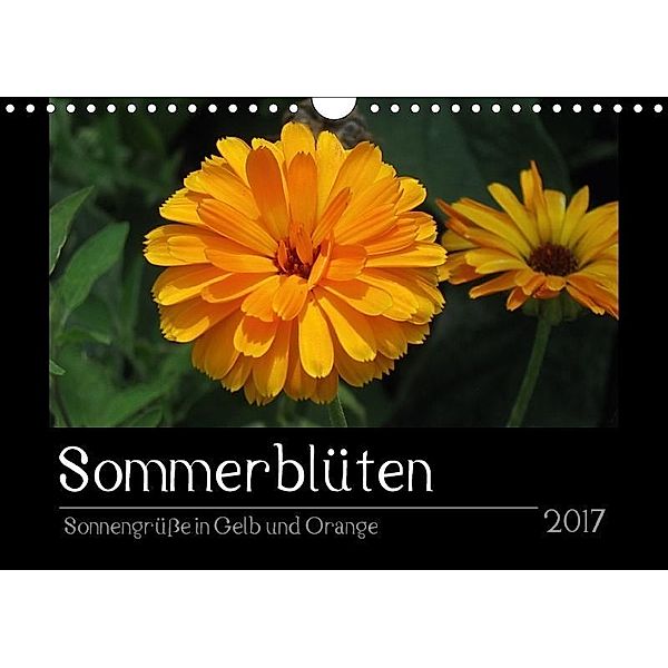 Sommerblüten - Sonnengrüße in Gelb und Orange (Wandkalender 2017 DIN A4 quer), Linda Schilling und Michael Wlotzka