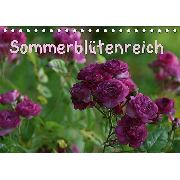 Sommerblütenreich (Tischkalender 2021 DIN A5 quer), Andrea Meister
