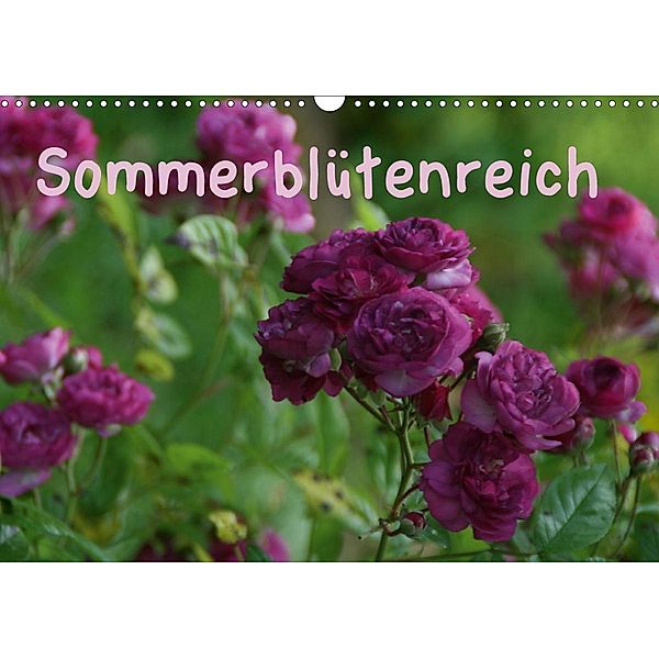 Sommerblütenreich (Wandkalender 2021 DIN A3 quer), Andrea Meister