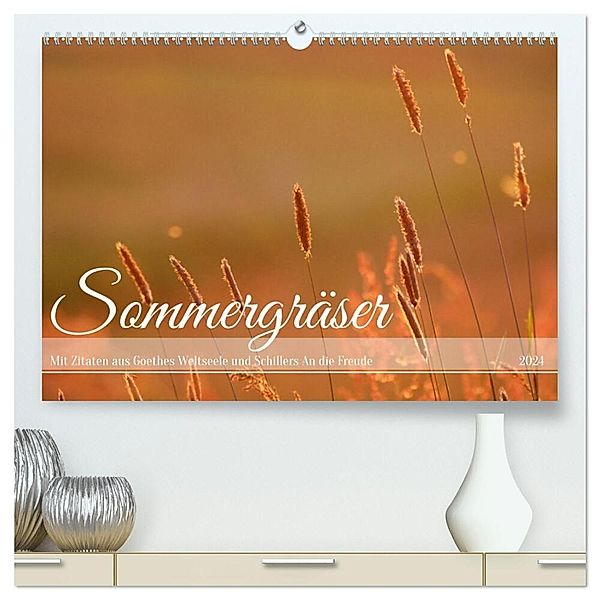 Sommergräser (hochwertiger Premium Wandkalender 2024 DIN A2 quer), Kunstdruck in Hochglanz, Daniela Tapper