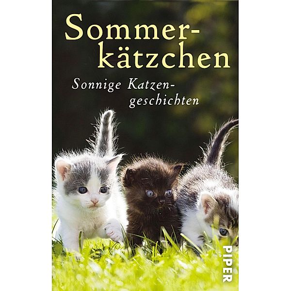 Sommerkätzchen