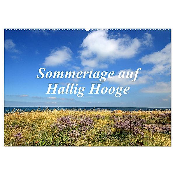 Sommertage auf Hallig Hooge (Wandkalender 2024 DIN A2 quer), CALVENDO Monatskalender, Sarnade