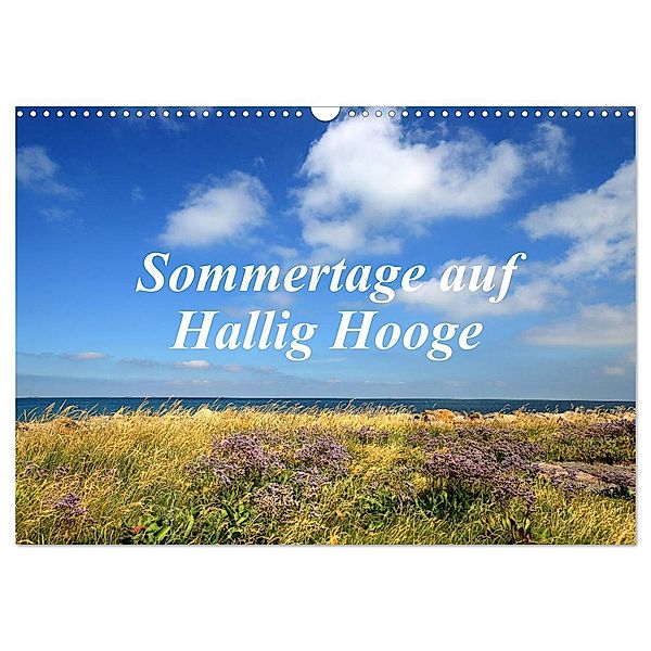Sommertage auf Hallig Hooge (Wandkalender 2024 DIN A3 quer), CALVENDO Monatskalender, Sarnade