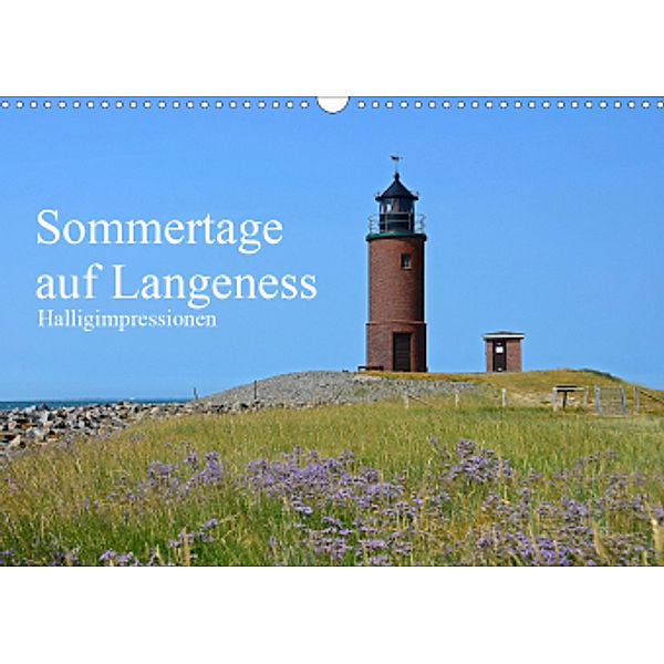 Sommertage auf Langeness (Wandkalender 2021 DIN A3 quer), Sarnade