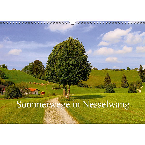 Sommerwege in Nesselwang (Wandkalender 2019 DIN A3 quer), Ulrike Brück