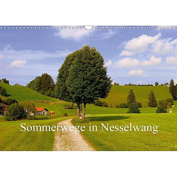 Sommerwege in Nesselwang (Wandkalender 2020 DIN A3 quer), Ulrike Brück