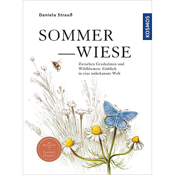 Sommerwiese, Daniela Strauß