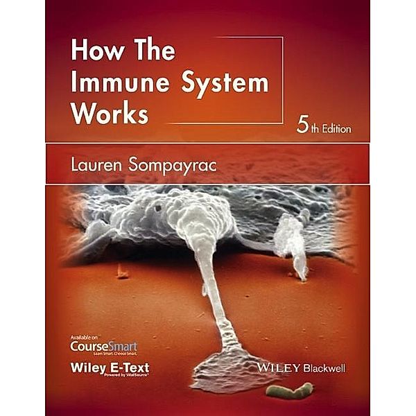 Sompayrac, L: How the Immune System Works, Lauren M. Sompayrac
