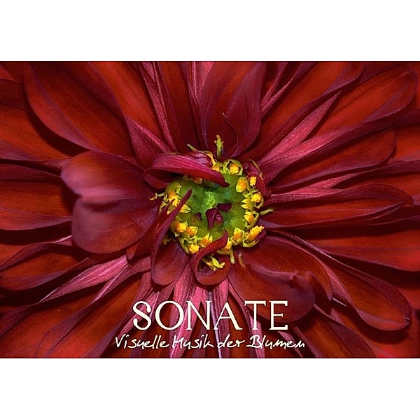 Sonate - Visuelle Musik der Blumen (Posterbuch DIN A4 quer), Vronja Photon
