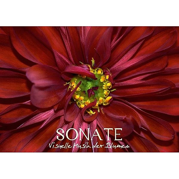 Sonate - Visuelle Musik der Blumen (Tischaufsteller DIN A5 quer), Vronja Photon