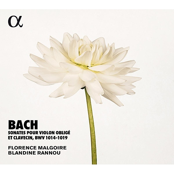 Sonaten Für Violine & Cembalo Bwv 1014-1019, Johann Sebastian Bach