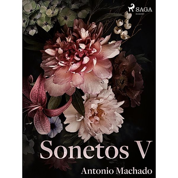 Sonetos V, Antonio Machado